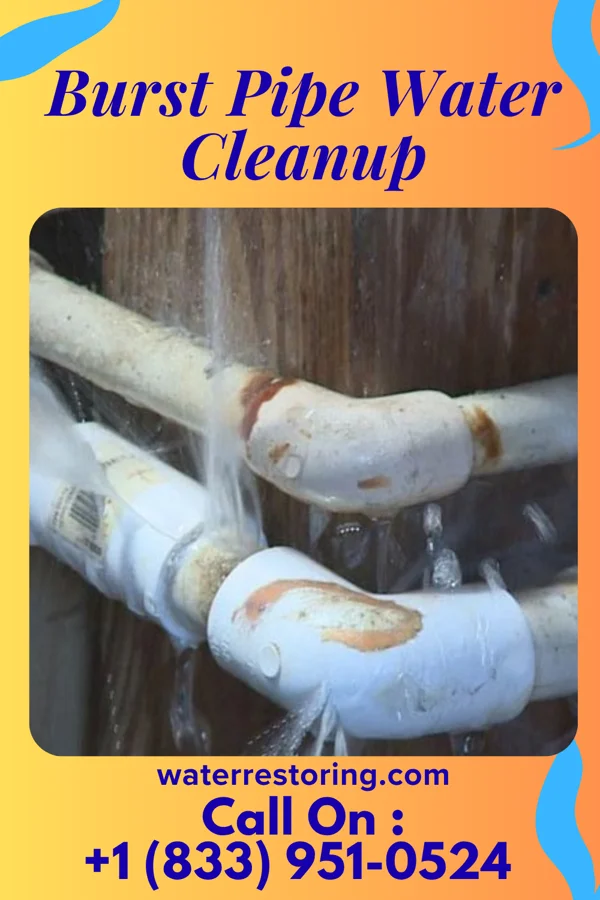 Burst Pipe Water Cleanup in Bernardsville, NJ