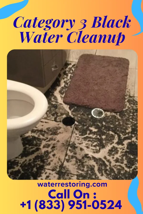 Category 3 Black Water Cleanup in Bernardsville, NJ