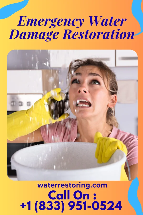 Emergency Water Damage Restoration in Bernardsville, NJ