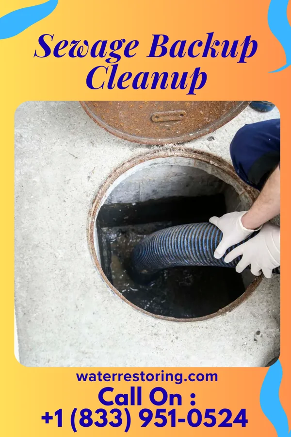 Sewage Backup Cleanup in Bernardsville, NJ